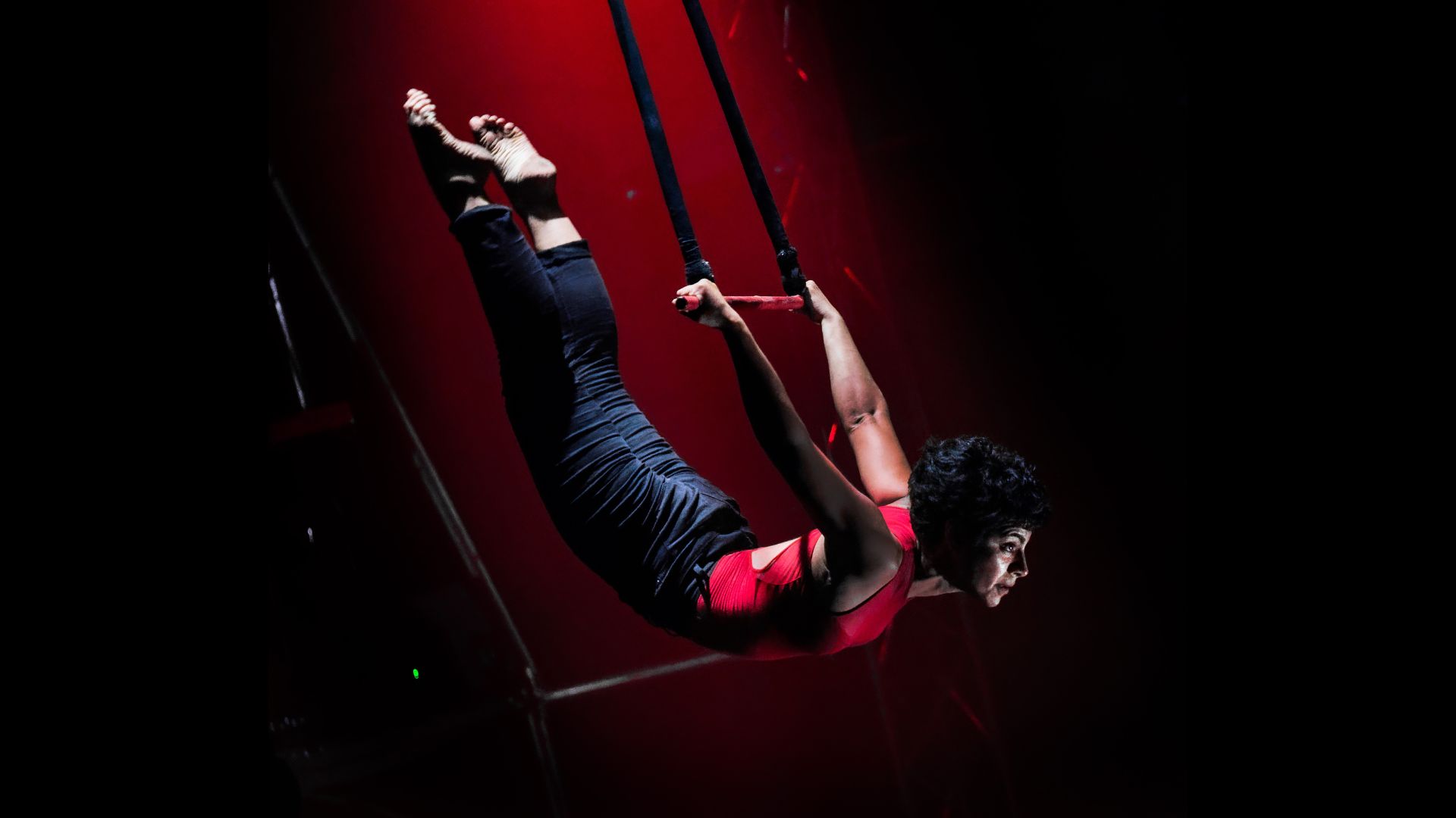 Circo Zoè